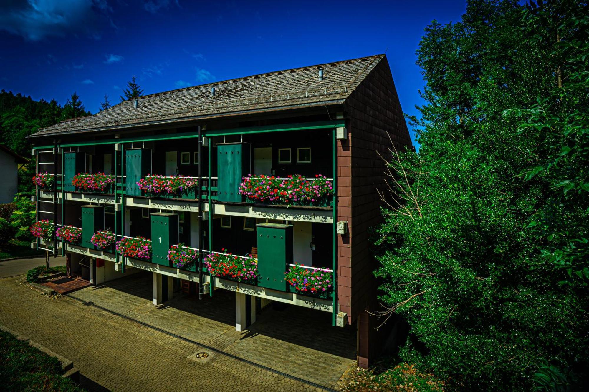 Natur Tanken Im Schwarzwald Sasbachwalden Exterior foto